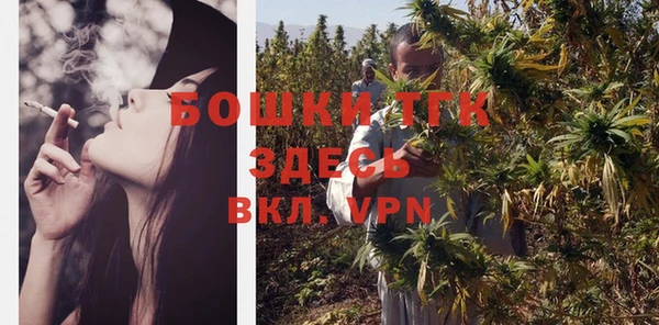 мдпв Заволжск