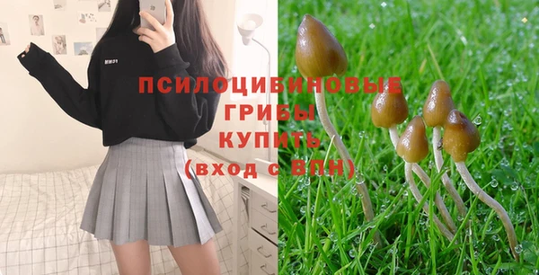 мдпв Заволжск