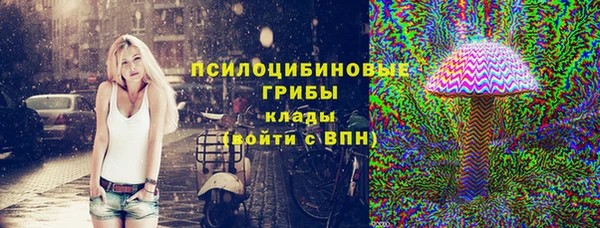мдпв Заволжск