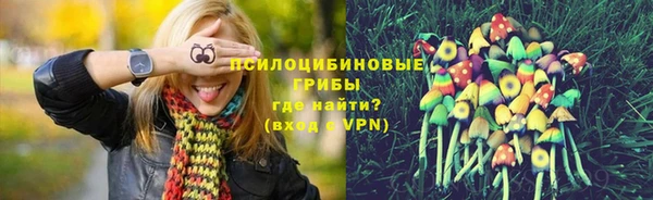 стафф Заволжье