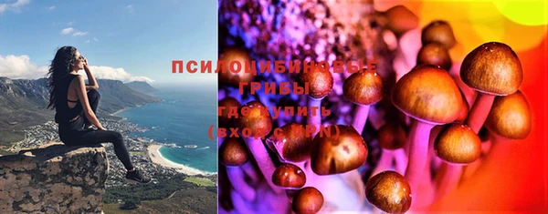 стафф Заволжье