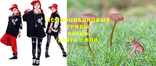 стафф Заволжье