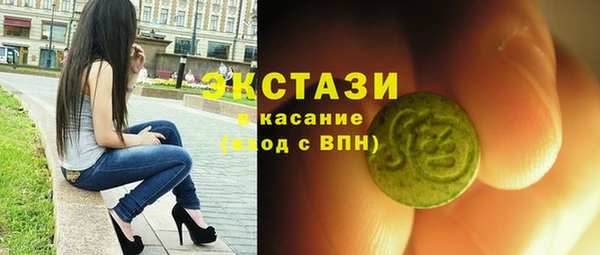 крисы Ельня